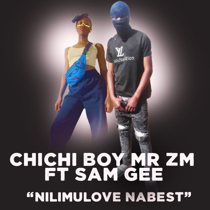 Song Cover